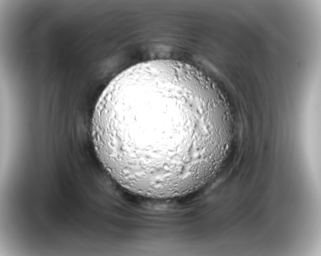 X0000085790661200704091431