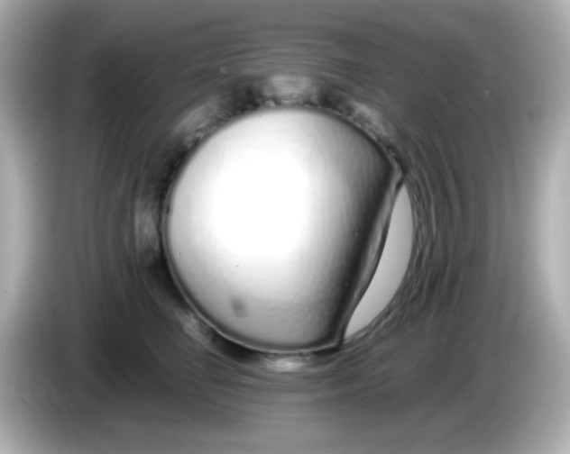 X0000085790662200704091431