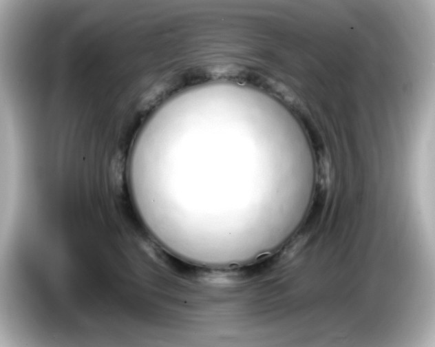X0000085790664200704091431