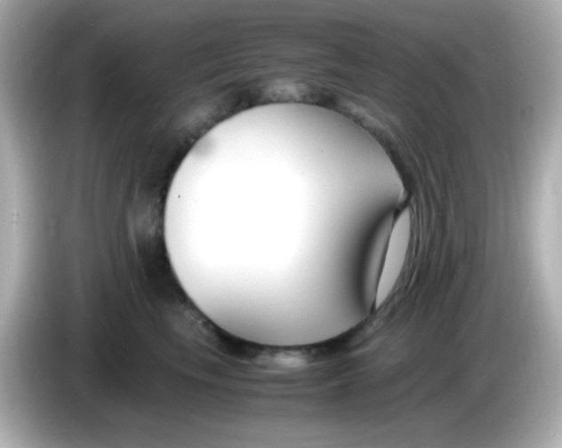X0000085790665200704091431