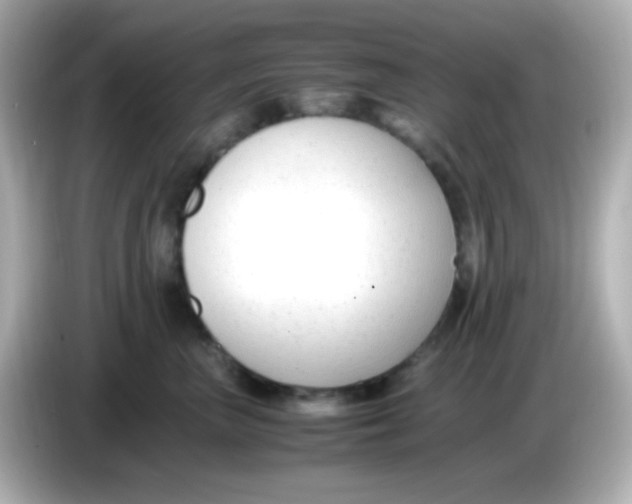 X0000085790667200704091431