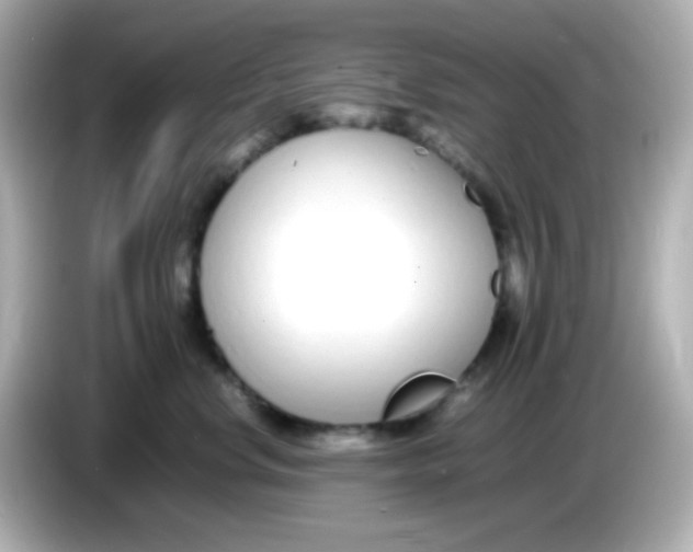 X0000085790668200704091431