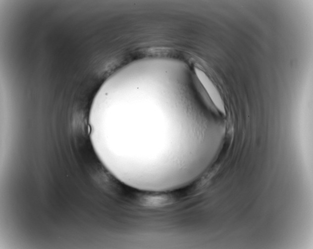 X0000085790669200704091431