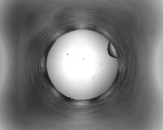X0000085790670200704091431