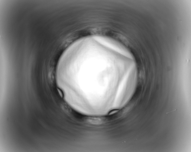 X0000085790671200704091431