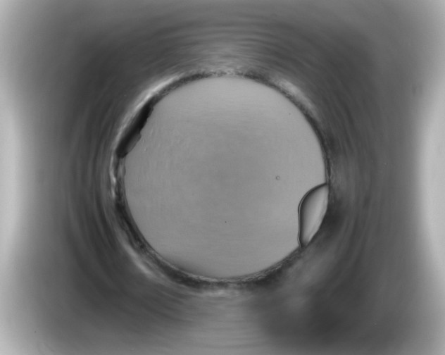 X0000085790674200704091431