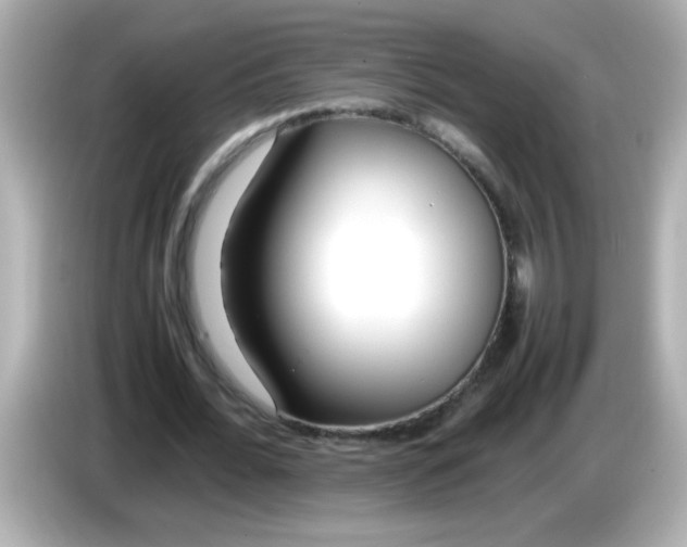 X0000085790676200704091431