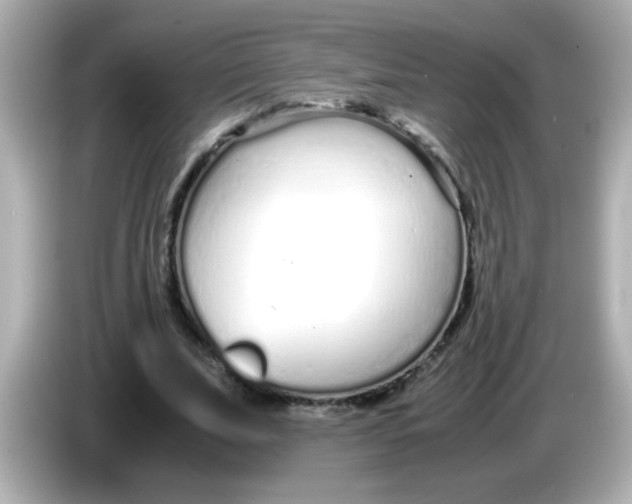 X0000085790679200704091431