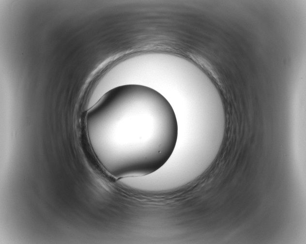 X0000085790680200704091431