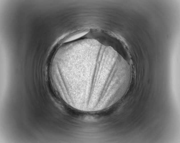 X0000085790684200704091431