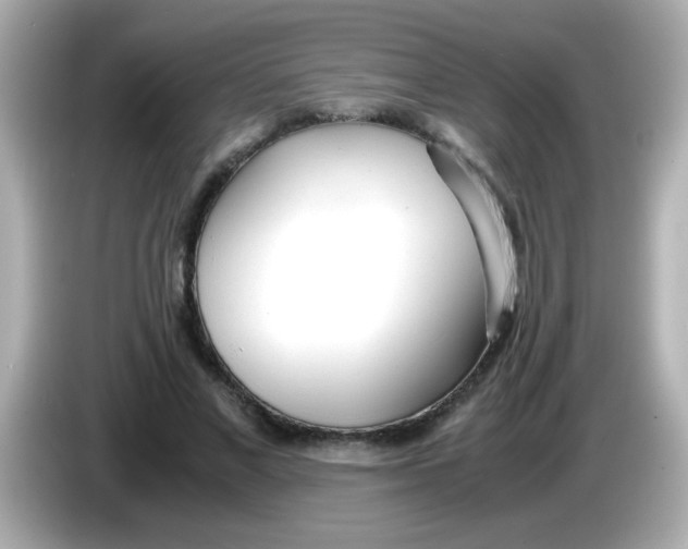 X0000085790685200704091431