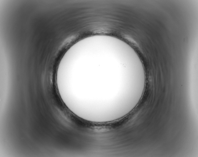 X0000085790686200704091431