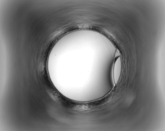 X0000085790687200704091431