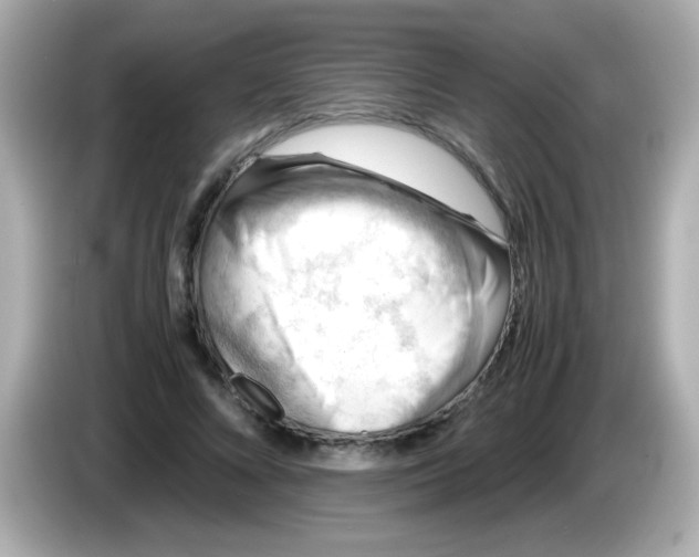 X0000085790688200704091431