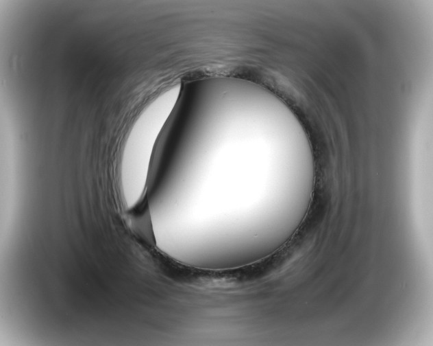 X0000085790689200704091431