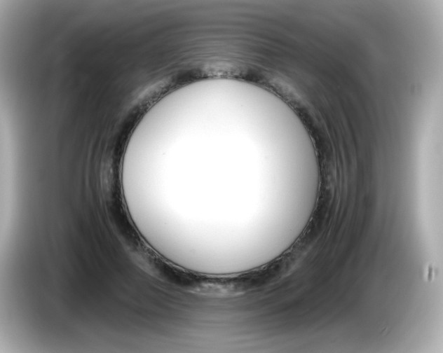 X0000085790690200704091431
