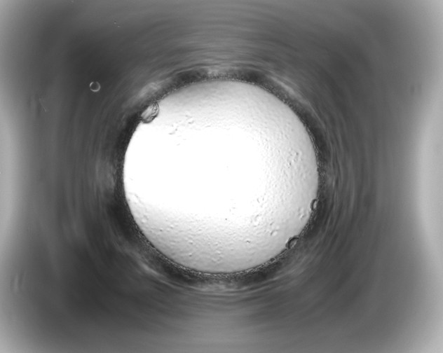 X0000085790691200704091431
