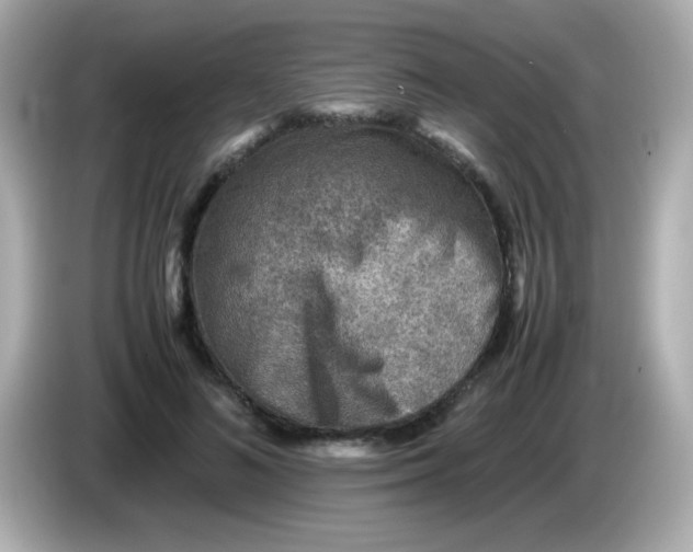 X0000085790692200704091431