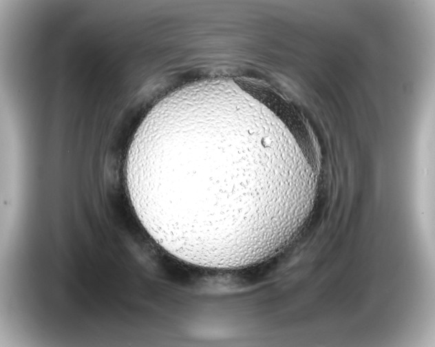 X0000085790695200704091430