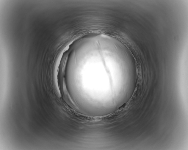 X0000085790696200704091430