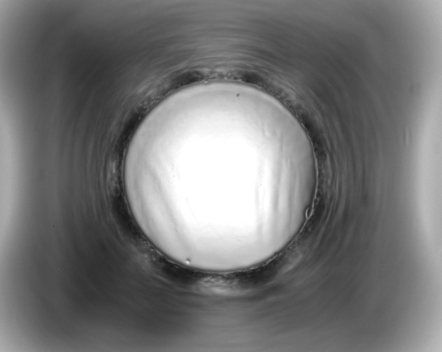 X0000085790699200704091430