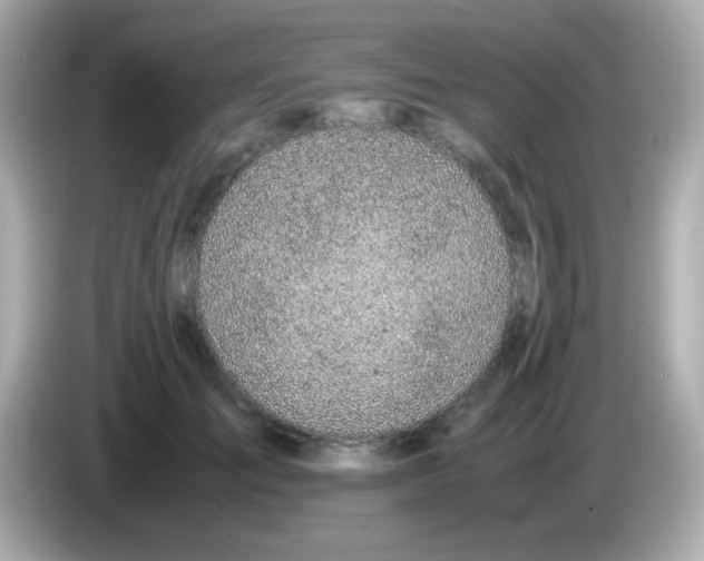 X0000085790701200704091430