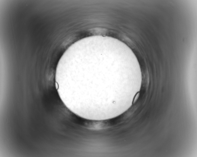 X0000085790717200704091430