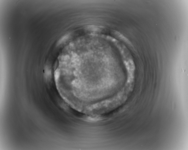 X0000085790720200704091430