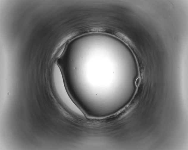 X0000085790725200704091430