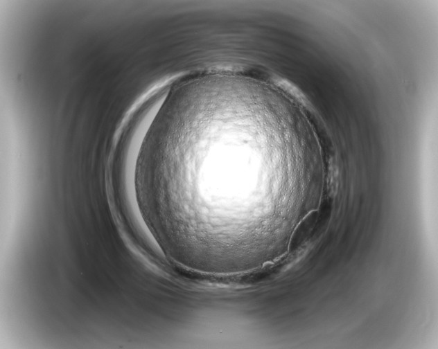 X0000085790726200704091430
