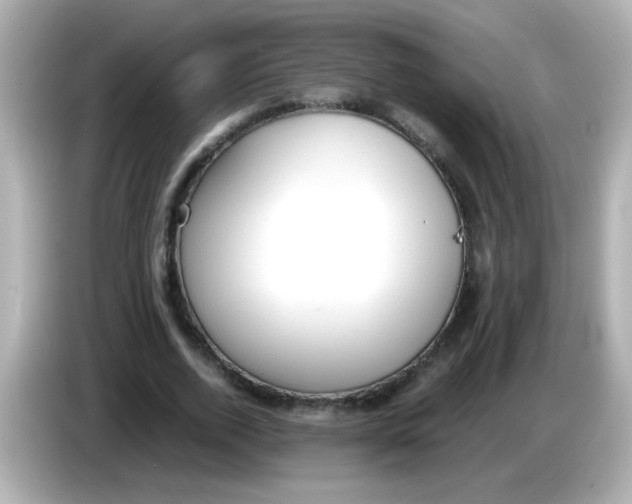 X0000085790728200704091430