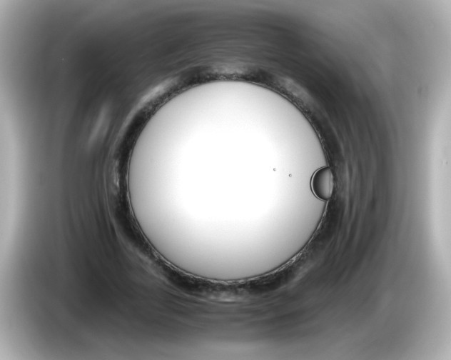 X0000085790731200704091430