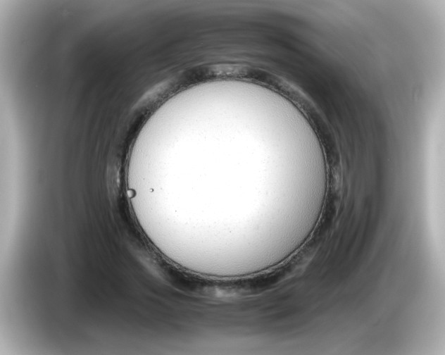 X0000085790733200704091430