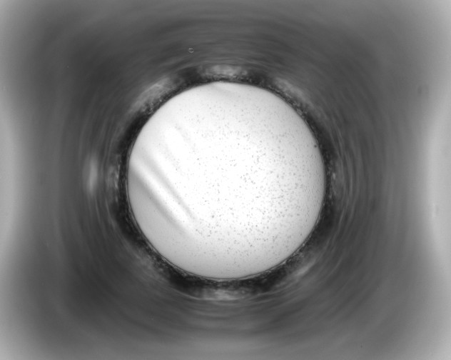 X0000085790739200704091430