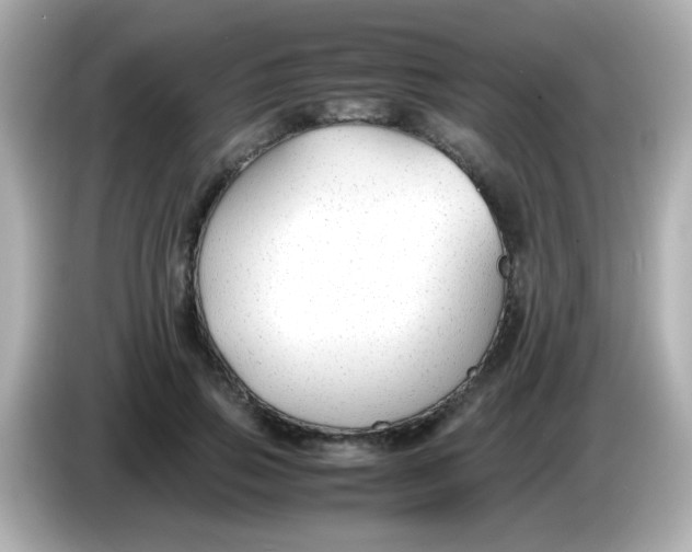 X0000085790741200704091430