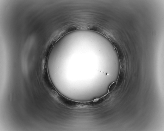 X0000085790742200704091430