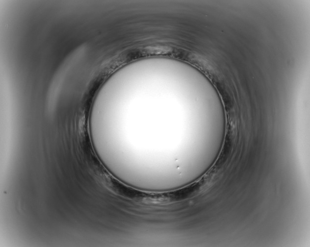X0000085790745200704091430