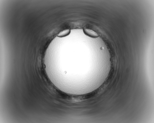 X0000085790757200704091430