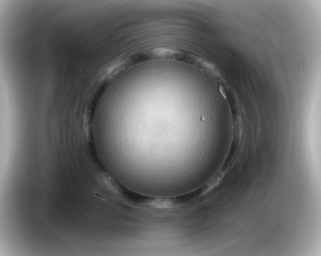 X0000085790762200704091430