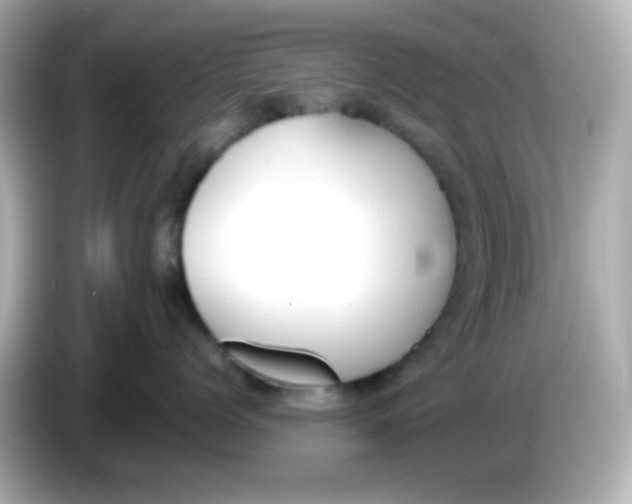 X0000085790768200704091430