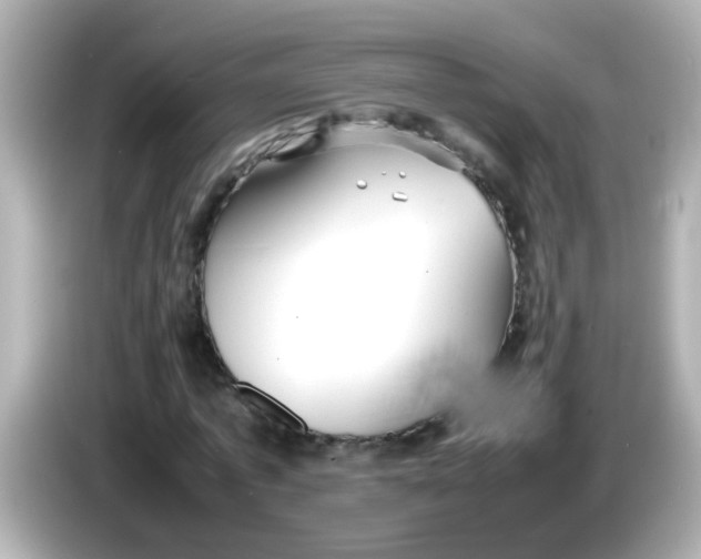 X0000085790773200704091430