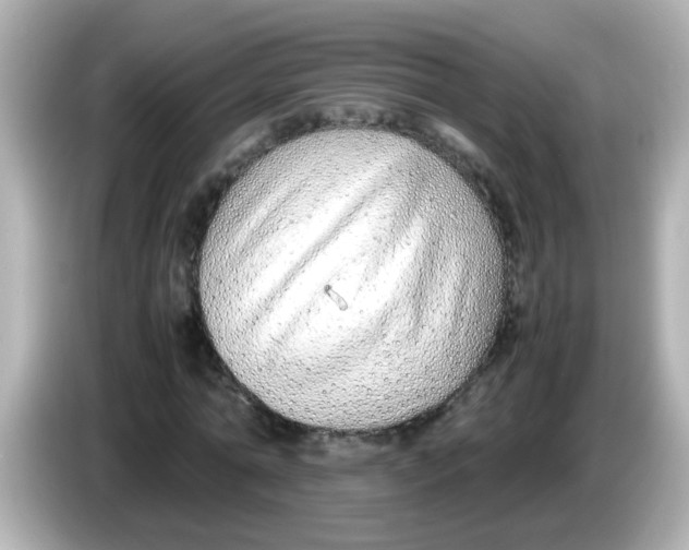 X0000085790774200704091430