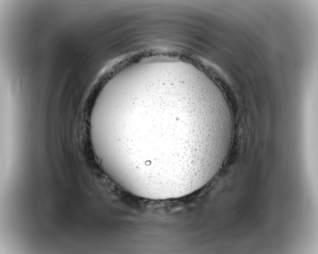 X0000085790776200704091430