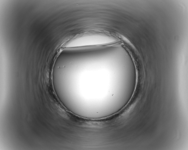 X0000085790777200704091430