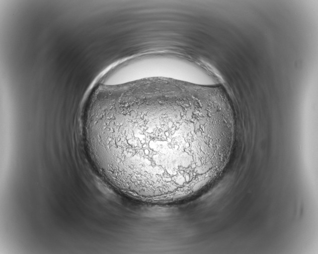 X0000085790779200704091429