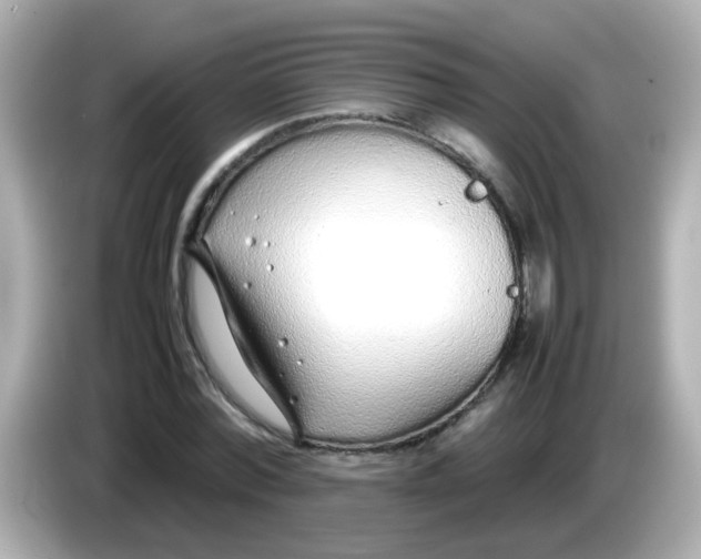 X0000085790780200704091429