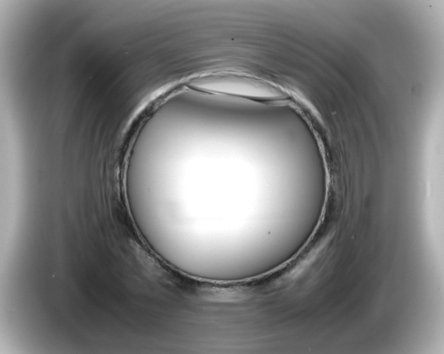 X0000085790781200704091429