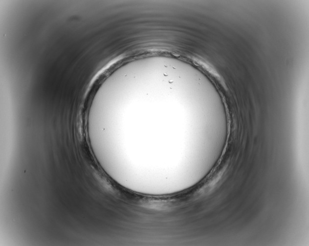 X0000085790782200704091429