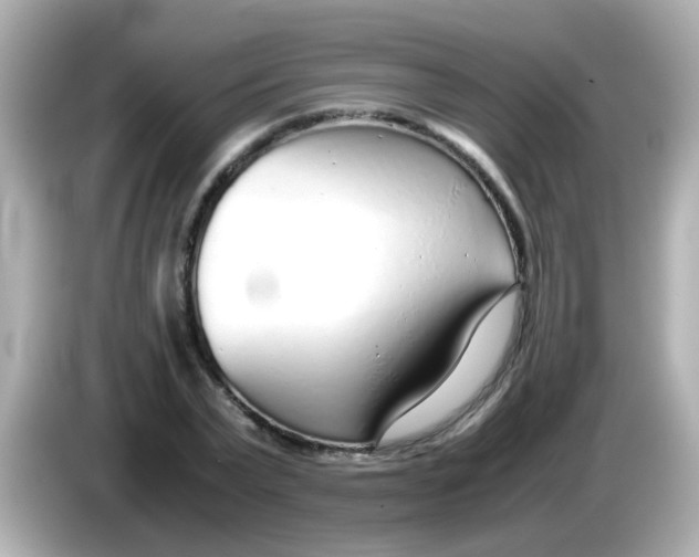 X0000085790783200704091429
