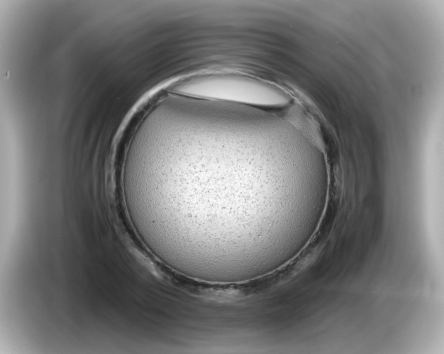 X0000085790784200704091429